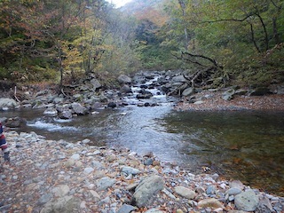 c0359615_18521939.jpg