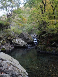 c0359615_18523865.jpg