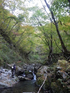 c0359615_18525183.jpg