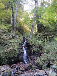 c0359615_18530381.jpg