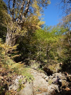 c0359615_18543608.jpg
