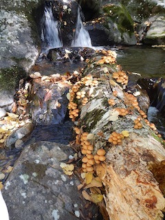 c0359615_18545205.jpg