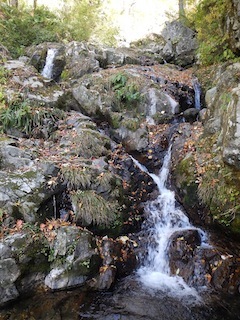 c0359615_18554430.jpg