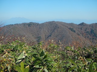 c0359615_18585308.jpg