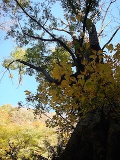 c0359615_20234708.jpg