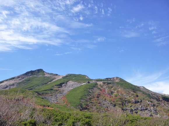 d0170615_20442817.jpg