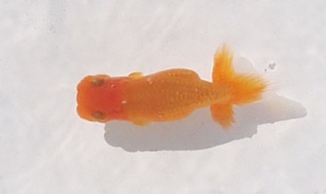 c0162817_19215210.jpg