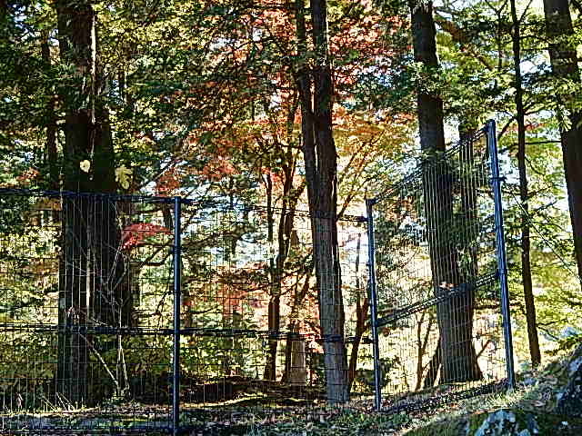 d0197317_21552001.jpg