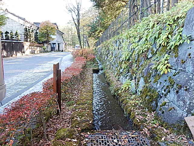 d0197317_21552006.jpg