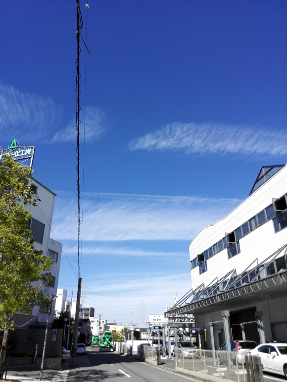 e0083517_23315264.jpg