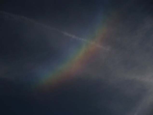 e0339317_17302342.jpg