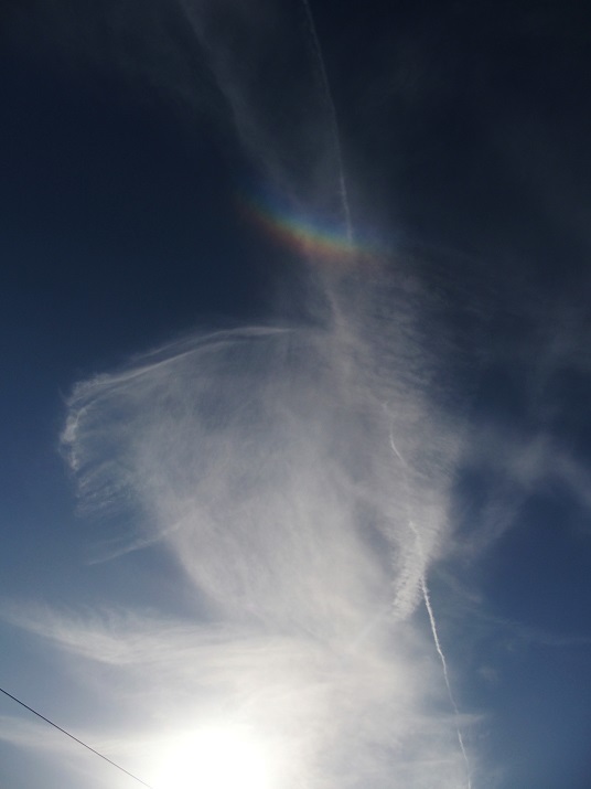 e0339317_17304458.jpg