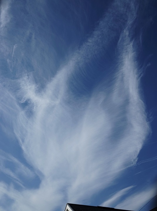 e0339317_17314008.jpg