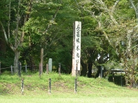 d0006323_483452.jpg