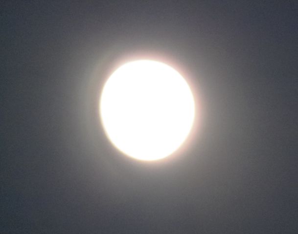 a0166324_1235985.jpg