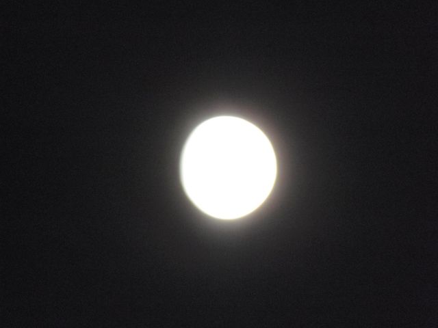 a0166324_12454562.jpg