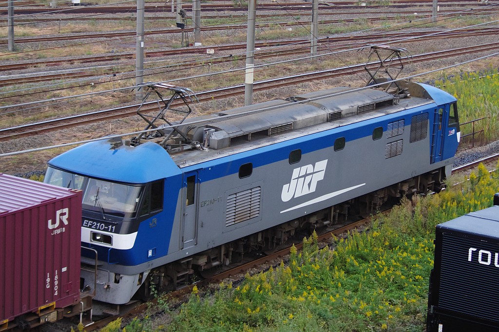 f0203926_2311576.jpg