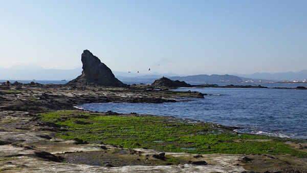 c0158029_18402366.jpg