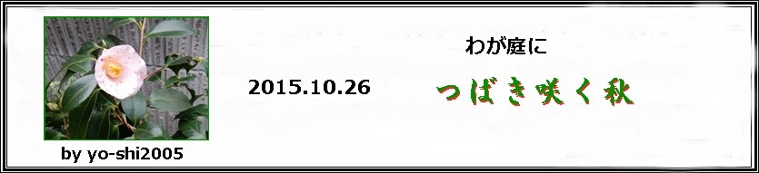 e0033229_17301752.jpg