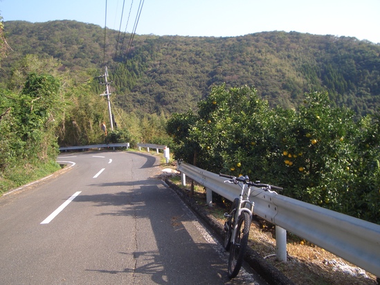 b0222530_1442715.jpg