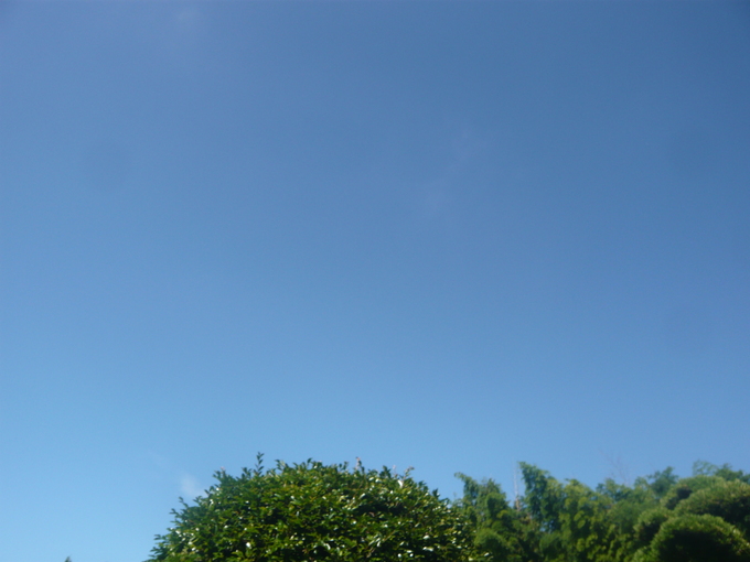 a0206332_8484081.jpg