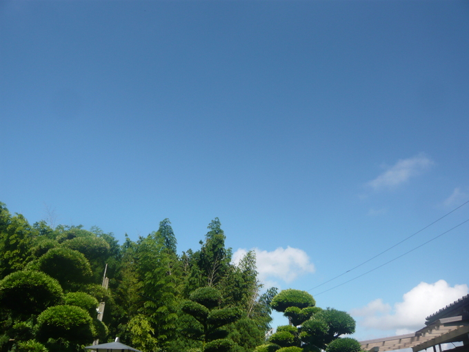 a0206332_849957.jpg