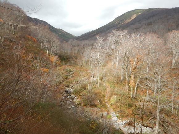 f0118332_23122493.jpg