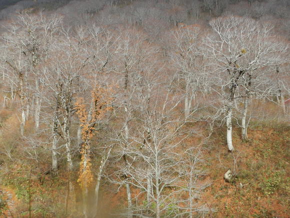 f0118332_23125264.jpg