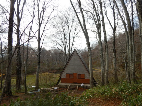 f0118332_2320315.jpg