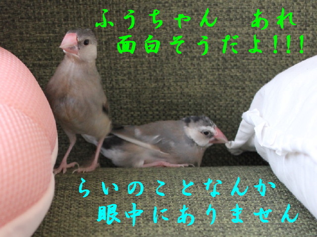 c0365734_22251090.jpg