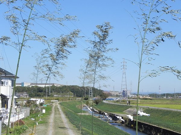 b0341140_1092763.jpg