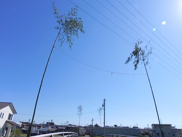 b0341140_109664.jpg