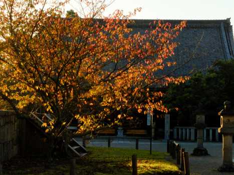 a0100742_926374.jpg