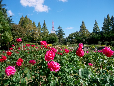 c0057946_21571562.jpg