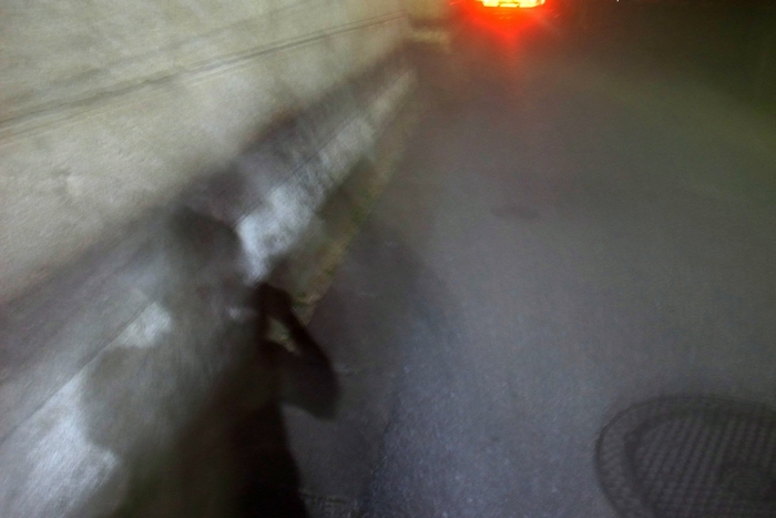 e0009147_19262110.jpg