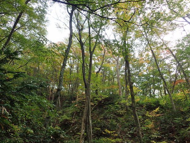 f0214649_561218.jpg