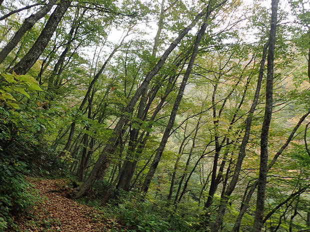 f0214649_58187.jpg