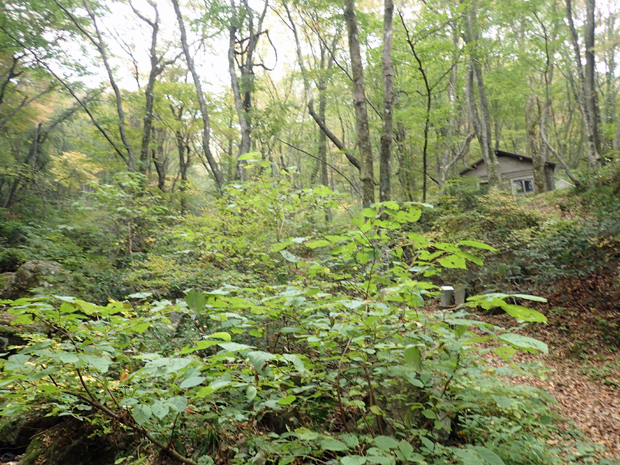 f0214649_585091.jpg