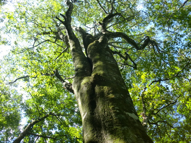 b0051052_10415545.jpg