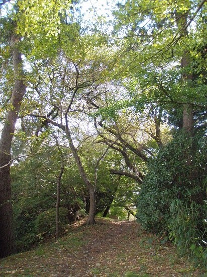 c0327752_14241107.jpg