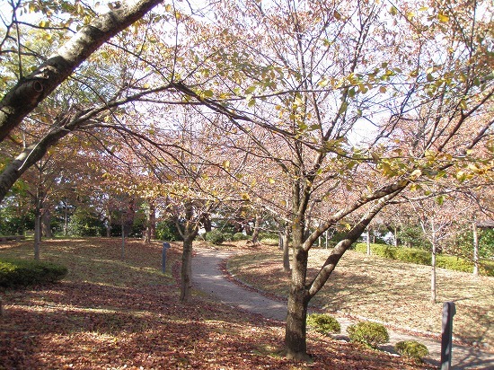 c0327752_14404426.jpg