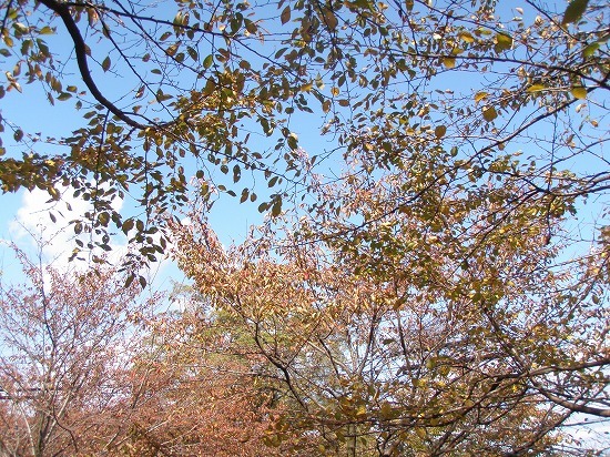 c0327752_14413346.jpg
