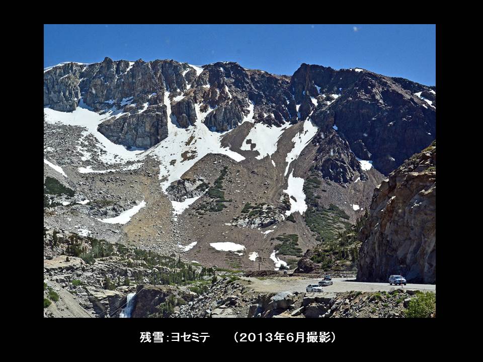 a0261857_918384.jpg