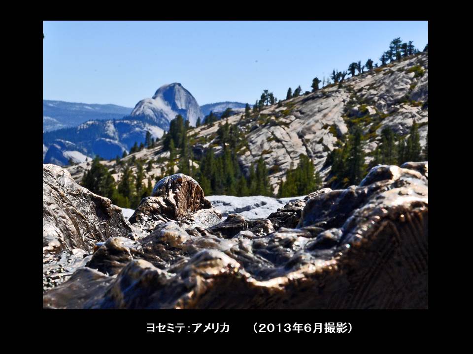 a0261857_918572.jpg