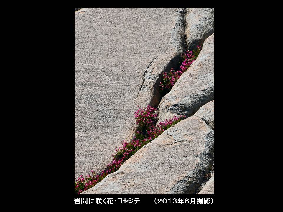 a0261857_9201160.jpg