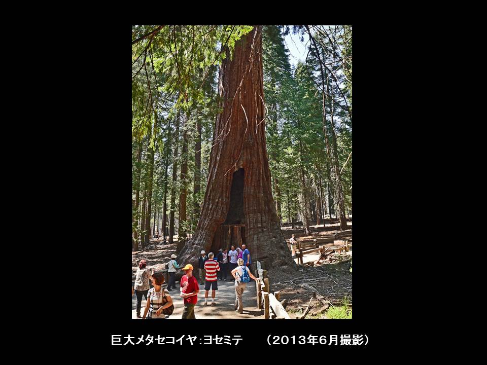 a0261857_9204490.jpg