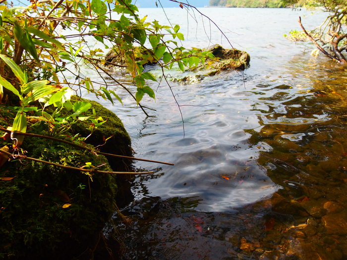e0212759_033544.jpg