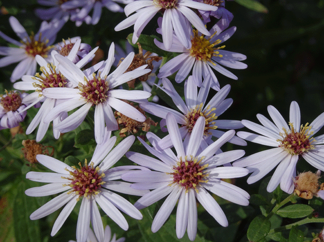 e0346064_1533288.gif