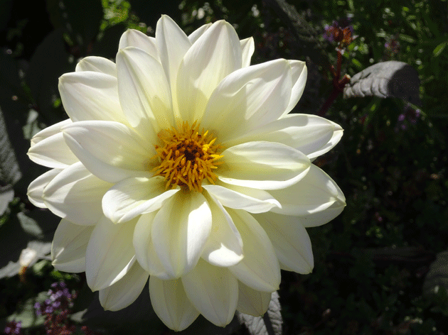 e0346064_1542389.gif