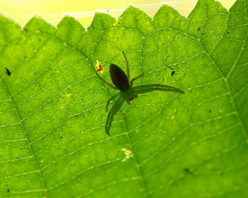 c0305565_17413249.jpg